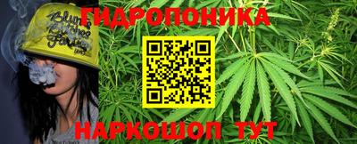 крисы Чебоксары