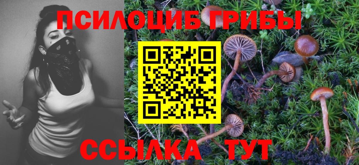 Псилоцибиновые грибы GOLDEN TEACHER  Вход с VPN  Улан-Удэ 